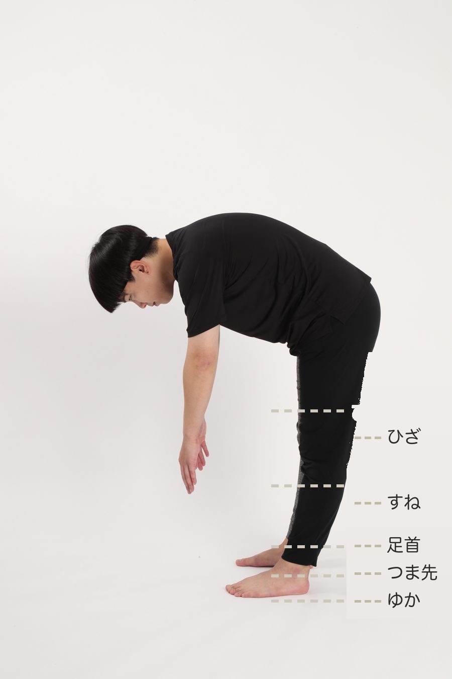 前屈のお手本